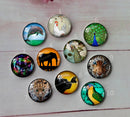 Handmade Round Photo Glass Cabochon animal A589
