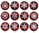 Handmade Round Photo Glass Cabochon 2509B