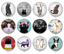 Handmade Round Photo Glass Cabochon 2045