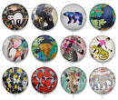 Handmade Round Photo Glass Cabochon 2060