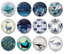 Handmade Round Photo Glass Cabochon 2087