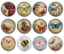 Handmade Round Photo Glass Cabochon 2211
