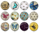 Handmade Round Photo Glass Cabochon 2217