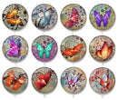 Handmade Round Photo Glass Cabochon 2220