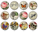Handmade Round Photo Glass Cabochon 2224