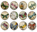 Handmade Round Photo Glass Cabochon 2226