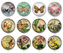 Handmade Round Photo Glass Cabochon 2233