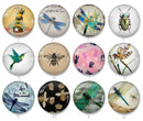 Handmade Round Photo Glass Cabochon 2235
