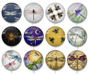 Handmade Round Photo Glass Cabochon 2236