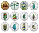 Handmade Round Photo Glass Cabochon 2237