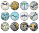 Handmade Round Photo Glass Cabochon 2242