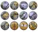 Handmade Round Photo Glass Cabochon 2243