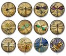 Handmade Round Photo Glass Cabochon 2244