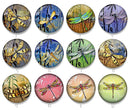 Handmade Round Photo Glass Cabochon 2245