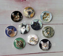 Handmade Round Photo Glass Cabachon  animal Cat A245
