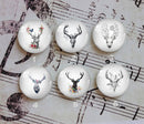 Handmade Round Photo Glass Cabochon deer A309