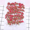 8pcs/pack Real rose flowers, Rose Flowers Dried Pressed Flowers