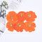6pcs Dried Yellow Cosmos Flower, Real flower Chrysanthemum Pressed Flower Petal for Handmade Crafting Genuine Botanical Jewelry