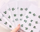 12pcs real Four leaf clover dried flower pressed flower, embossed plant specimen