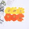 6pcs chrysanthemum Pressed flower diy material flowers dried flowers