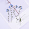 10pcs/Pack Natural Real Do not forget me Dried Flower