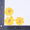 6pcs chrysanthemum Pressed flower diy material flowers dried flowers