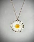 Resin pendant with real daisy, necklace with real flower