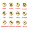 5pcs Stainless Steel Constellations Charm,Gold Initial Charm,Vermeil Letter Pendant,Gold Initial Charms,Round Coin Charm