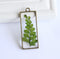 1pcs Handmade Resin Leaves pressed flower pendant necklace