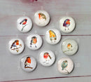 Handmade Round Photo Glass Cabachon animal A252