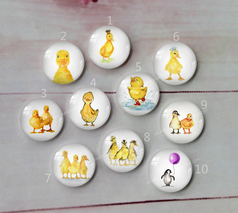 Handmade Round Photo Glass Cabochon animal duck A262