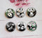 Handmade Round Photo Glass Cabochon panda A349