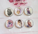 Handmade Round Photo Glass Cabochon animal-owl A361