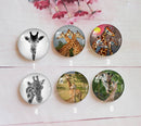 Handmade Round Photo Glass Cabochon animal giraffe a364