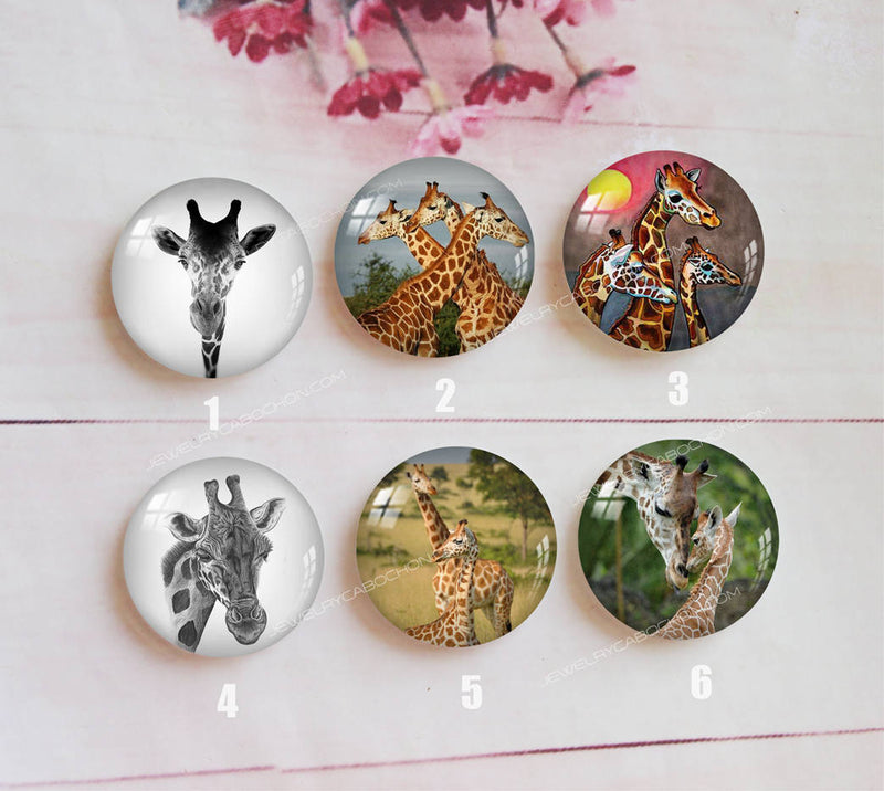 Handmade Round Photo Glass Cabochon animal giraffe a364