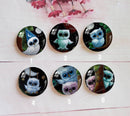 Handmade Round Photo Glass Cabochon animal owl A366