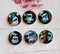 Handmade Round Photo Glass Cabochon animal owl A366