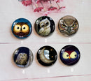 Handmade Round Photo Glass Cabochon animal owl a367