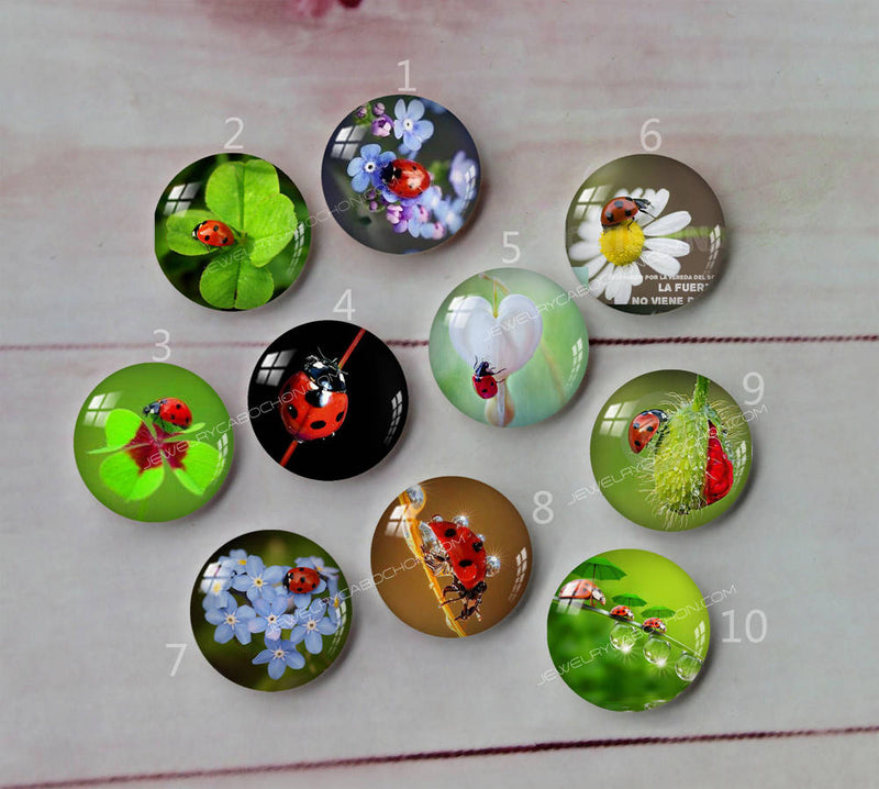 Handmade Round Photo Glass Cabochon flower A392