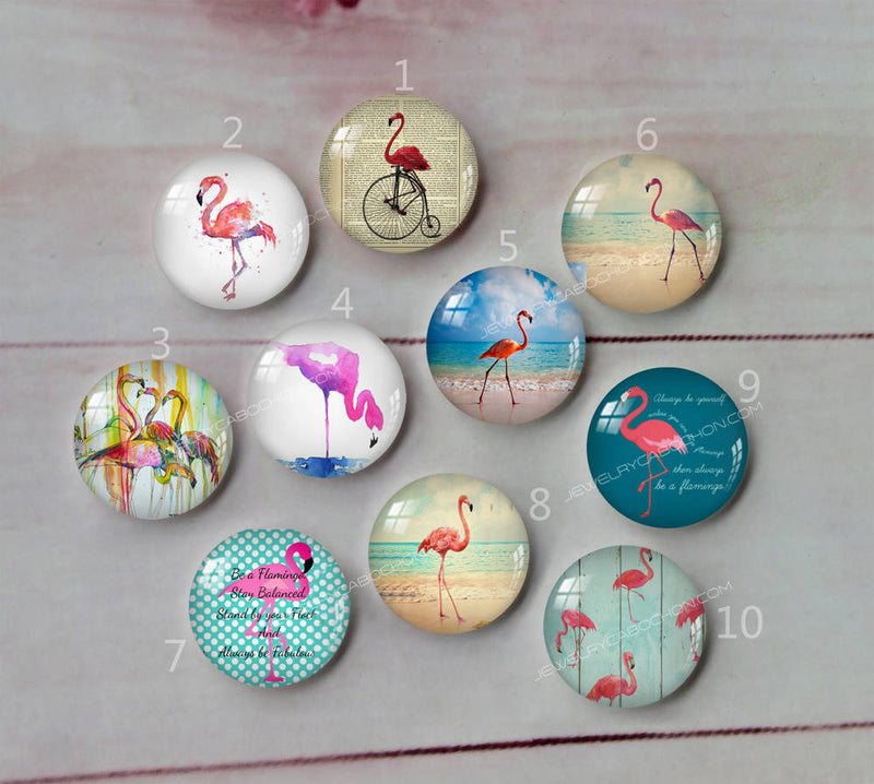 Handmade Round Photo Glass Cabochon animal Flamingo A404