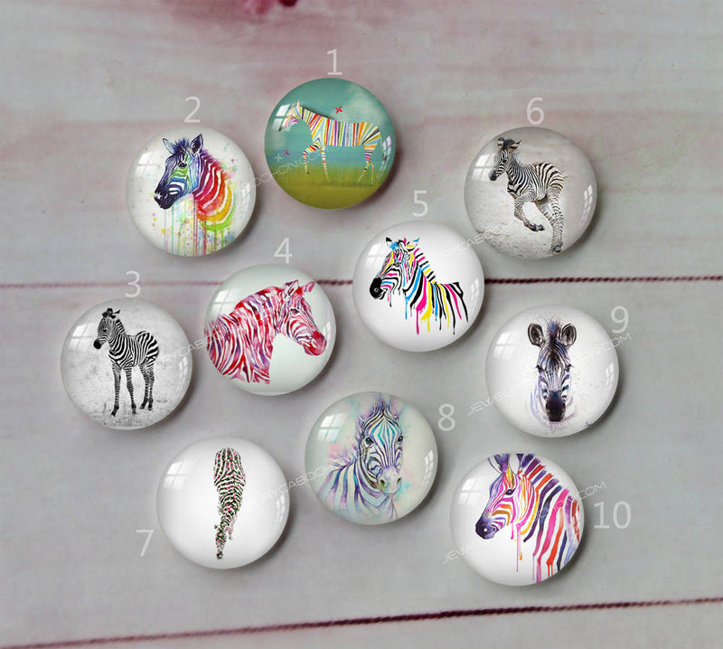 Handmade Round Photo Glass Cabochon animal horse A416