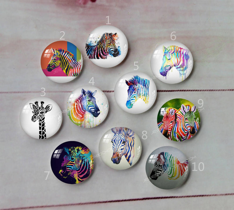 Handmade Round Photo Glass Cabochon animal horse A418