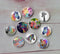 Handmade Round Photo Glass Cabochon animal horse A419