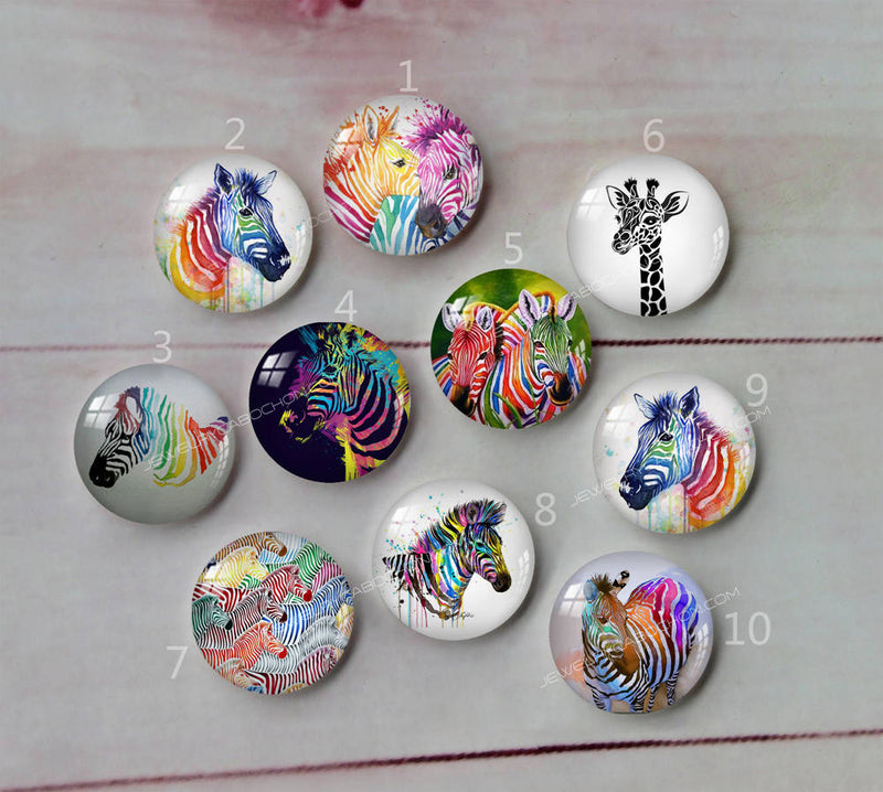 Handmade Round Photo Glass Cabochon animal horse A419