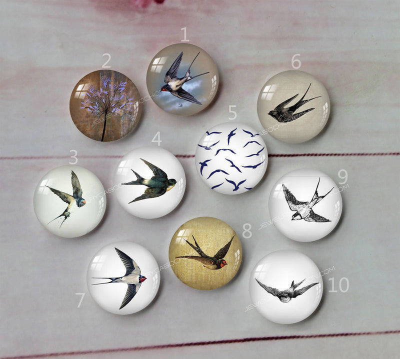 Handmade Round Photo Glass Cabochon bird A510