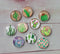 Handmade Round Photo Glass Cabochon plant cactus A614
