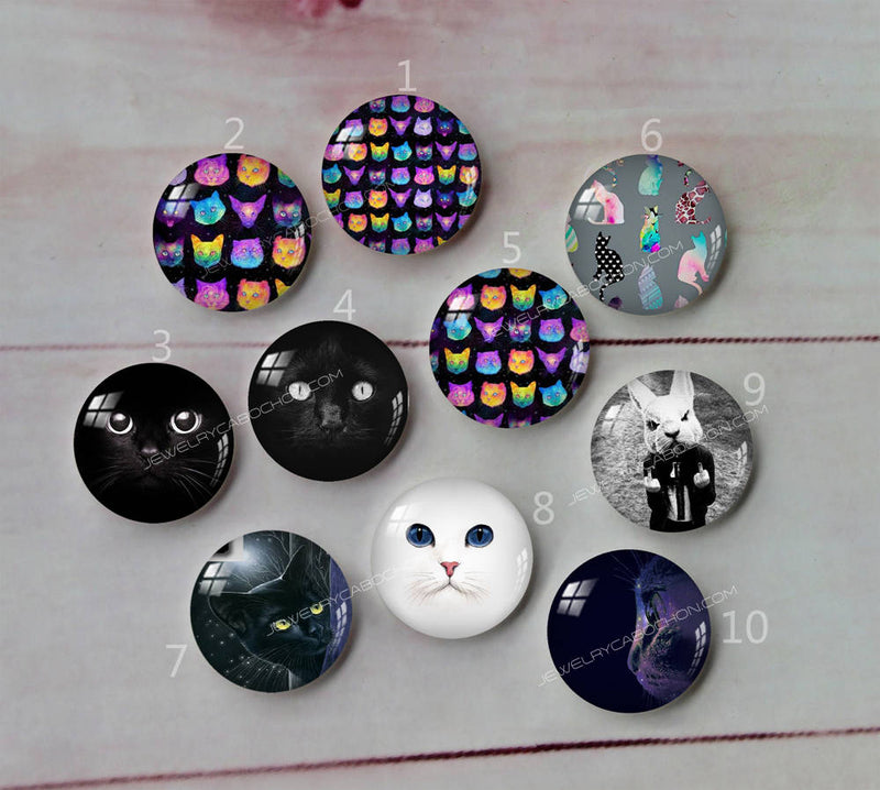 Handmade Round Photo Glass Cabochon animal Cat A617