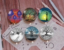 Handmade Round Photo Glass Cabochon plant tree 868