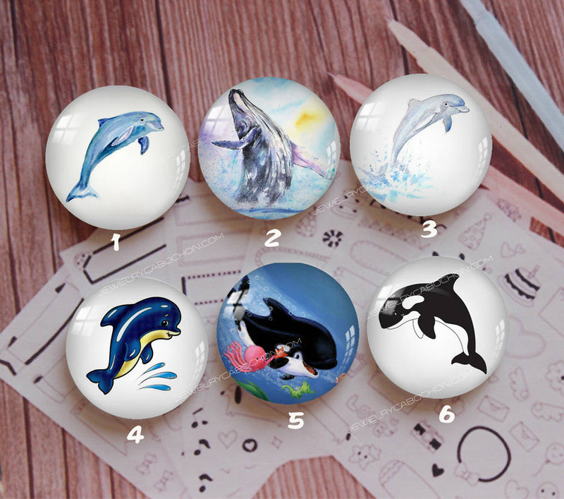 Handmade Round Photo Glass Cabochon Animal dolphin 924