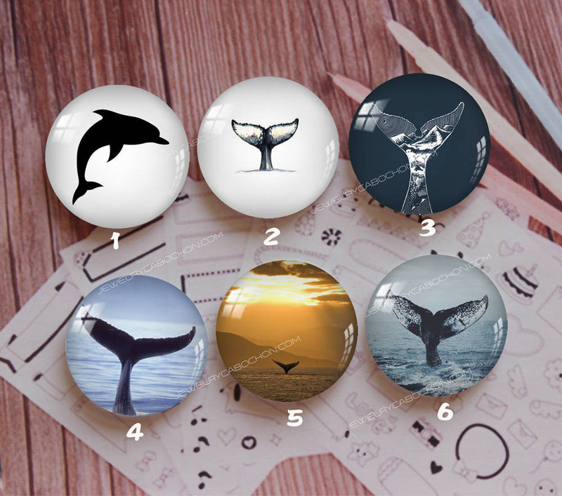 Handmade Round Photo Glass Cabochon Animal dolphin 927